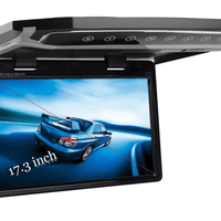 17.3'' Car Roof Mounted Monitor
