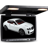 19'' HD Roof Mounted Monitor